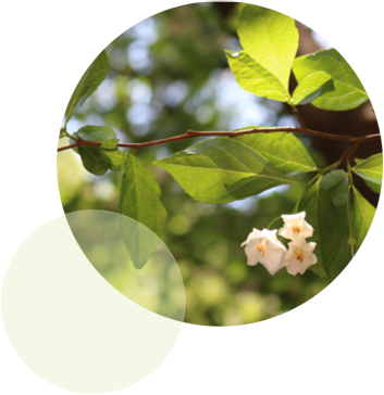 山田ひろしが掲げる政策イメージ